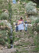 IMG_0067