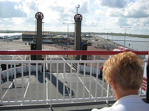 IMG_2222
