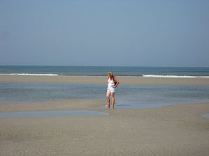 IMG_2229