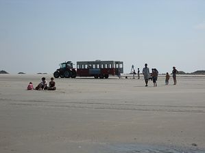 IMG_2232