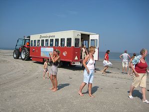 IMG_2233