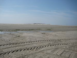 IMG_2234