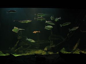 IMG_2247