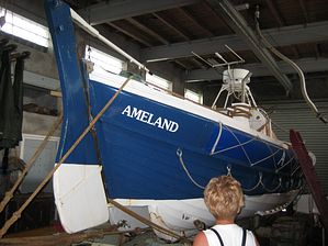 IMG_2252