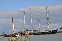 DSC_0235