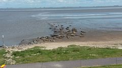 20150731_154518