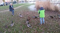 20161205_154813