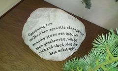 IMAG1545