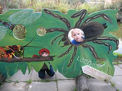 IMG_1132
