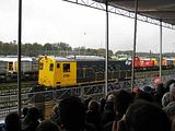 IMG_1163