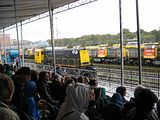IMG_1165