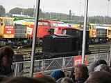 IMG_1169