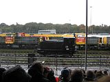 IMG_1175