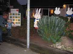 IMG_2453
