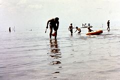 PICT0234