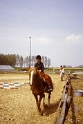 PICT0344