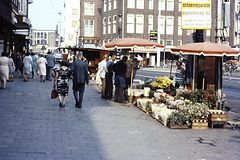 PICT0515