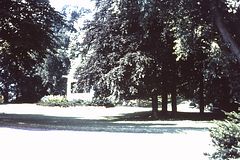PICT0521