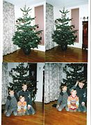 PHOTO-8264