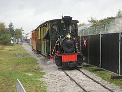 IMG_1134
