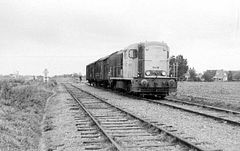 NS2445